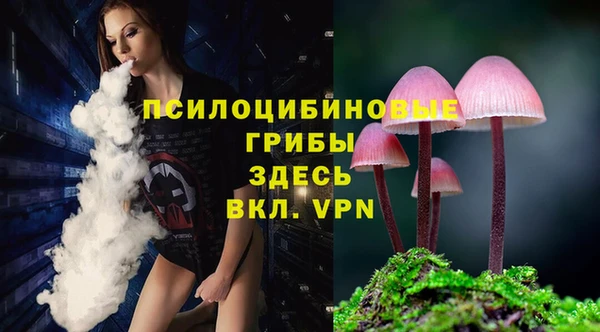 spice Володарск