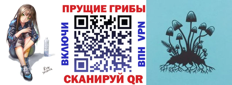 Галлюциногенные грибы MAGIC MUSHROOMS  где найти наркотики  Электрогорск 